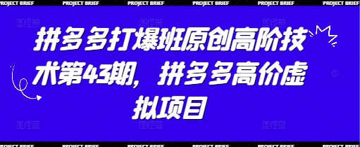 拼多多打爆班原创高阶技术：高价虚拟项目实战指南-无双副业