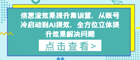 信息流效果提升集训营，从账号冷启动到AI提效全方位提升-无双副业