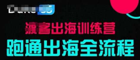 出海训练营基础课，跑通出海全流程与实战案例拆解-无双副业