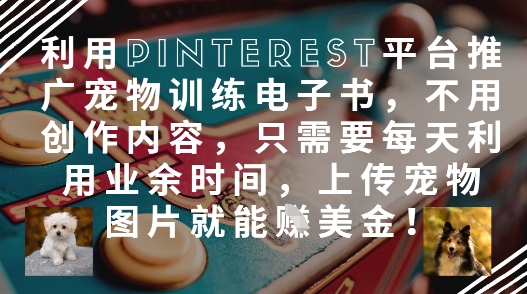 利用Pinterest推广宠物训练电子书轻松赚美金-无双副业