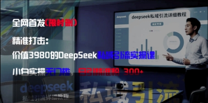 DeepSeek私域引流实操课：小白轻松日引300+精准粉-无双副业
