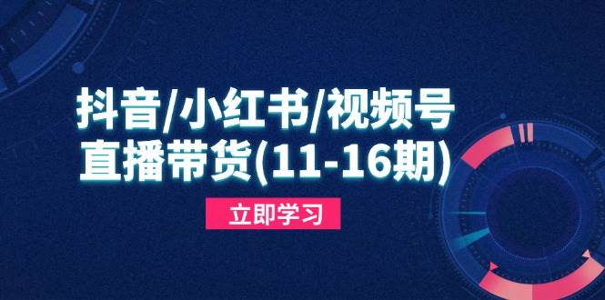 抖音小红书视频号直播带货，快速掌握平台规则打造爆款内容-无双副业