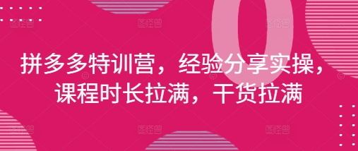 拼多多特训营经验分享与实操课程-无双副业