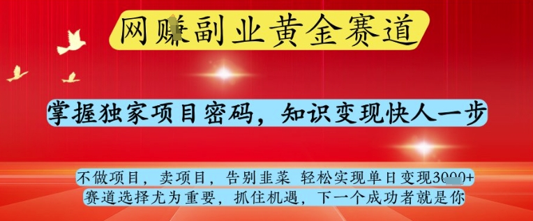 网创副业黄金赛道，掌握项目密码实现知识变现快速盈利-无双副业