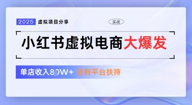 小红书虚拟电商项目平台免费流量扶持低门槛玩法-无双副业