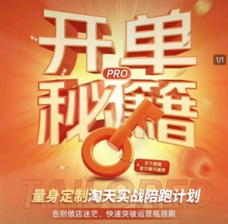 淘宝开单秘籍PRO，量身定制淘天实战陪跑计划，告别做店迷茫-无双副业