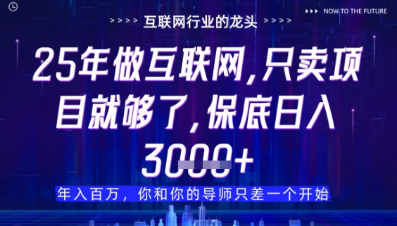 25年卖项目比做项目更赚钱的底层逻辑揭秘-无双副业
