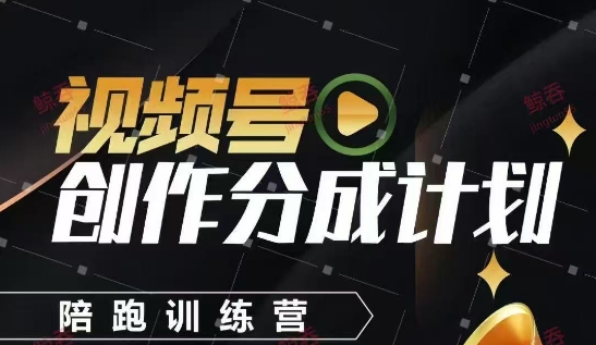 视频号创作分成计划陪跑训练营，手把手教你制作视频-无双副业