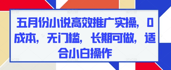 小说高效推广实操指南，0成本无门槛长期可做-无双副业