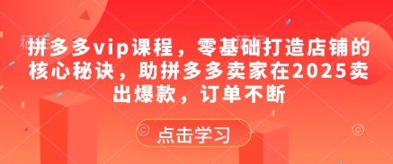 拼多多课程，零基础打造店铺核心秘诀-无双副业