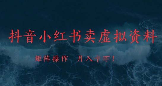 抖音小红书虚拟资料销售，市场需求持续增长-无双副业