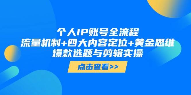 个人IP账号运营全流程：流量机制与内容定位实战指南-无双副业