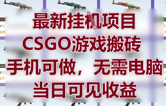 CSGO游戏搬砖项目揭秘，手机操作当日收益-无双副业