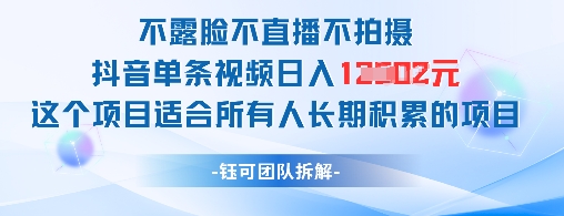 不露脸不直播不拍摄抖音单条视频日入1k+的长期积累项目-无双副业