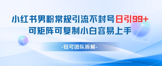 小红书男粉引流不封号日引99+变现简单可矩阵复制-无双副业