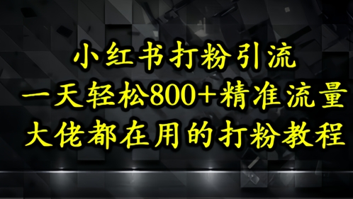 小红书精准引流教程，轻松获取500+高质量粉丝-无双副业