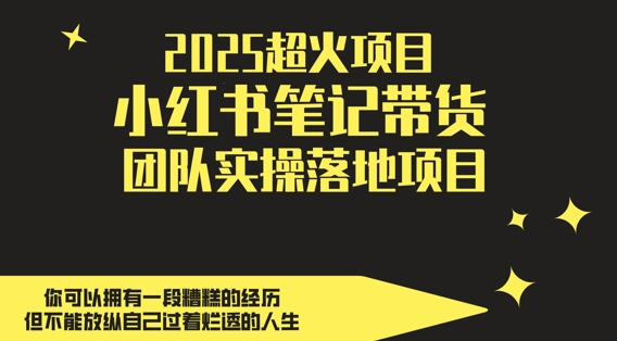 小红书笔记带货团队实操项目，轻松日入500副业首选-无双副业