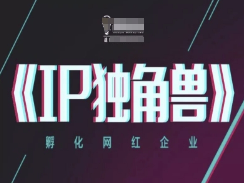 IP独角兽孵化网红企业抖音运营教程-无双副业
