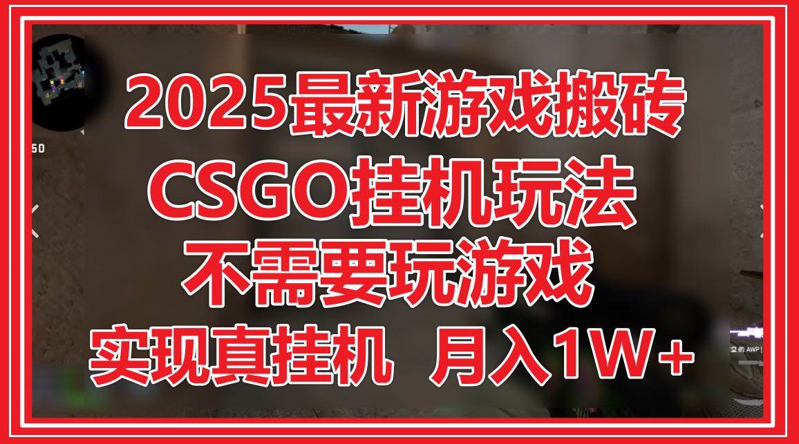 2025最新游戏搬砖项目CSGO挂机赚钱教程-无双副业
