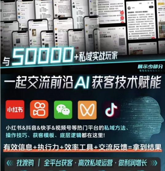 渡鸦科技社私域流量入门指南与三大引流策略-无双副业