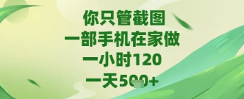 手机截图赚钱项目揭秘 苹果安卓均可在家操作-无双副业