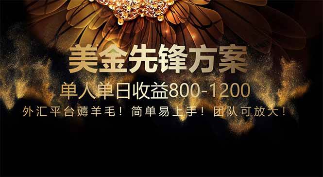 免费技术小众赛道布局 每日高收益外汇赠金项目-无双副业