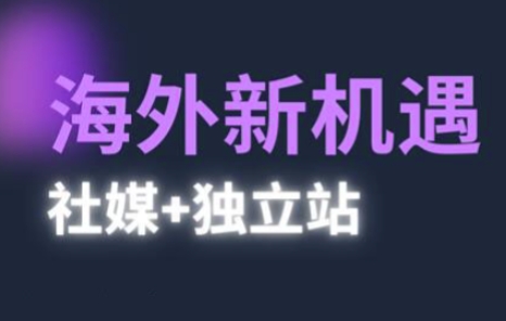 2025出海新机遇：社媒与独立站高效运营指南-无双副业