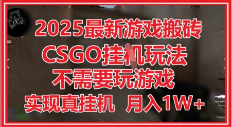 2025最新CSGO游戏搬砖挂G项目揭秘，无需经验月入过万-无双副业