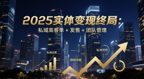 2025实体变现终局：私域高客单与团队管理策略-无双副业