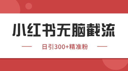 小红书独家野路子获客玩法暴力截流揭秘-无双副业