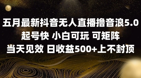 2025五月最新无人直播撸音浪单日产出5张实操教程-无双副业