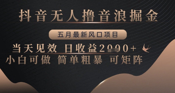 抖音无人直播撸音浪掘金项目揭秘，小白可做日收益高-无双副业