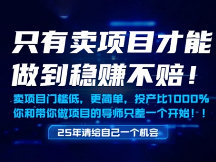 卖项目稳赚不赔门槛低年入百万揭秘-无双副业