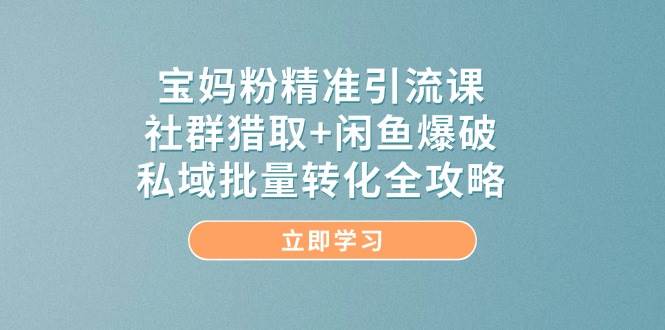 宝妈粉精准引流课社群猎取与闲鱼爆破私域转化攻略-无双副业
