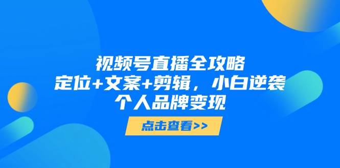 视频号直播变现全攻略：定位文案剪辑与个人品牌打造-无双副业