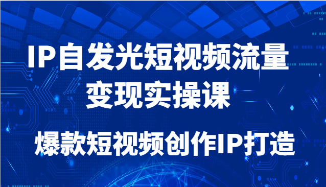 IP自发光短视频流量变现与爆款创作实战课-无双副业