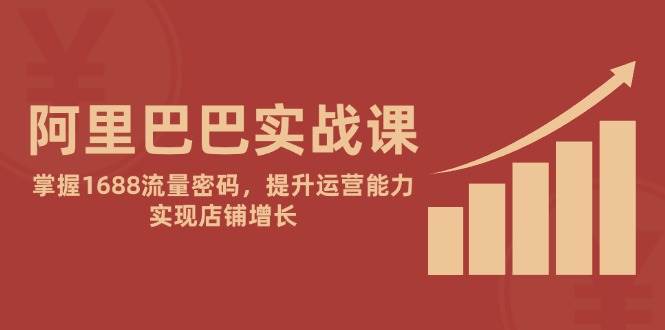 阿里巴巴实战课：掌握1688流量密码提升店铺运营能力-无双副业