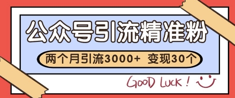公众号精准粉引流玩法揭秘2个月3000粉变现30万-无双副业