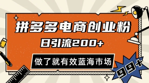 拼多多引流电商创业粉日引200+可矩阵放大方法揭秘-无双副业