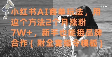 小红书AI商单玩法2个月涨粉7W+新手接品牌合作全套指令模板-无双副业