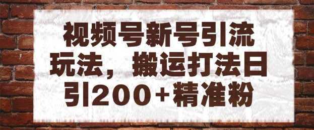 视频号新号引流玩法揭秘，搬运打法日引200精准粉可矩阵放大-无双副业