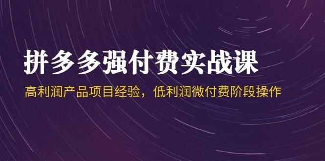 拼多多强付费与低利润微付费实战课程，高利润产品项目经验-无双副业