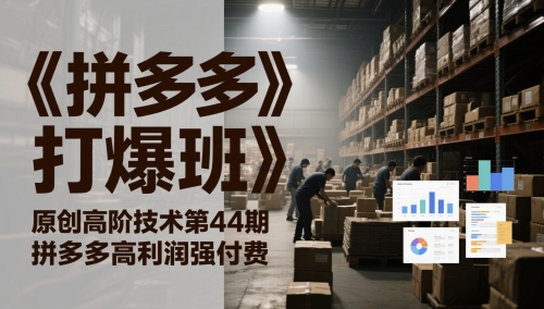 拼多多高利润强付费与低利润微付费实战课程-无双副业
