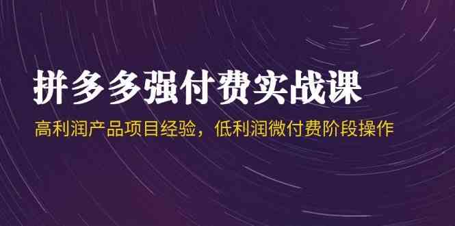 拼多多强付费与微付费实战课程，高利润产品项目经验与操作技巧-无双副业