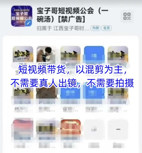 宝子哥头部团队短视频带货混剪教程无需真人出镜-无双副业