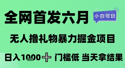 无人直播撸礼物掘金项目揭秘，日入1K+小白可操作-无双副业