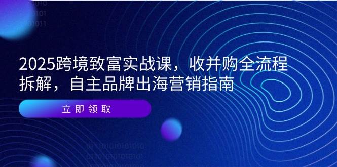 2025跨境致富实战课：收并购全流程与品牌出海营销指南-无双副业