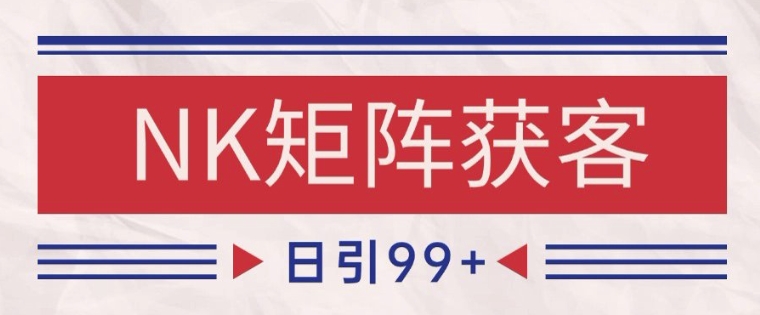 小红书某音NK赛道引流获客自热矩阵日引200+揭秘-无双副业
