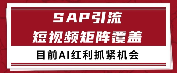 小红书某音SAP赛道引流获客自热矩阵日引200+揭秘-无双副业