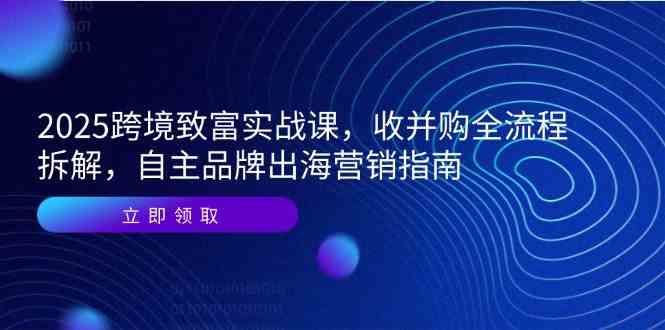 跨境致富实战课：收并购全流程与自主品牌出海营销指南-无双副业